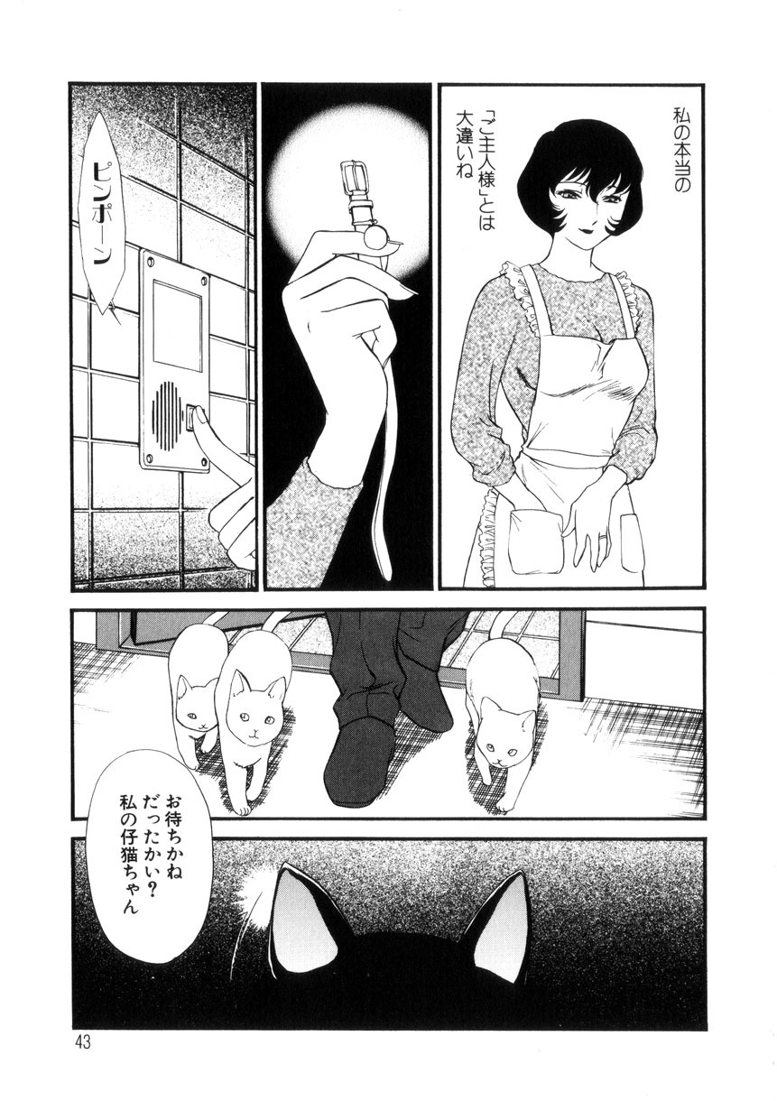 [Fujii Akiko, Akiyama Michio] Hitozuma Moyou 4 Yogarizuma page 44 full