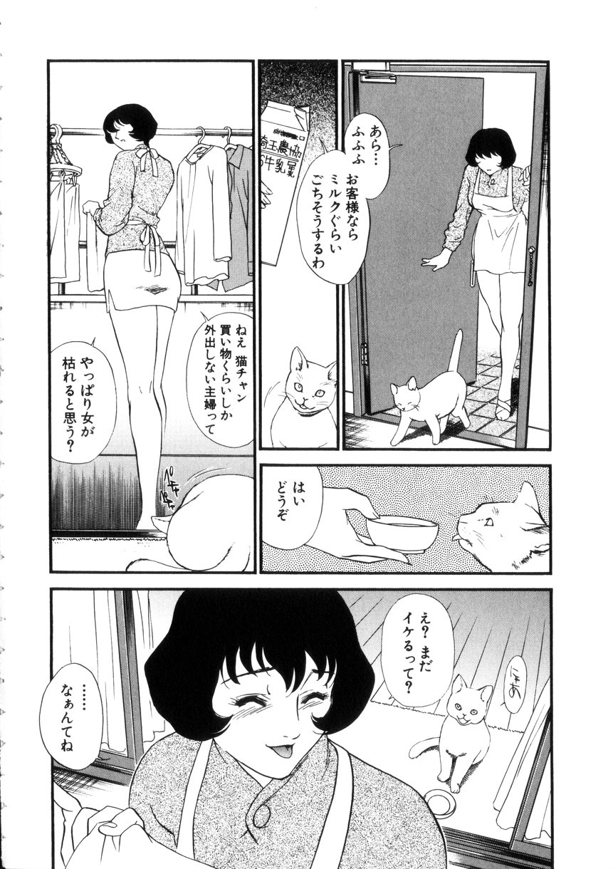 [Fujii Akiko, Akiyama Michio] Hitozuma Moyou 4 Yogarizuma page 9 full