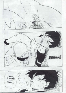 (C44) [Chirigami Goya, Fusuma go Ten (Shoji Hariko)] XX (Dragon Ball Z) [English] - page 28