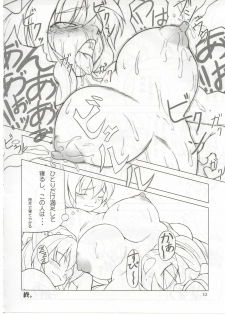 [Toybox (Jacky, Kurikara)] Rin-shi Nyunyu (Touhou Project) - page 11