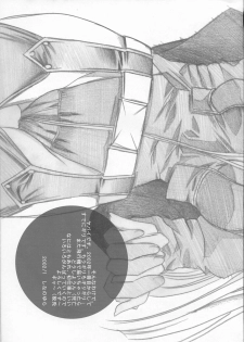 (SC14) [FANTASY WIND (Shinano Yura)] DIAMOND REPLICA (King of Fighters) - page 24
