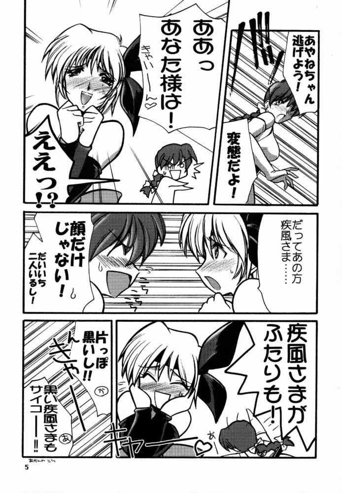 [U-A Daisakusen / Lapislazuli=corporation] Ruridou Gahou X (vol.10) (Dead or Alive) page 4 full