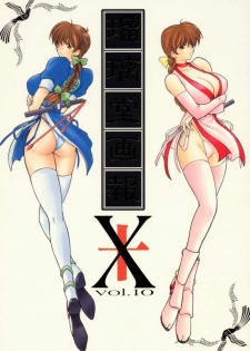 [U-A Daisakusen / Lapislazuli=corporation] Ruridou Gahou X (vol.10) (Dead or Alive)