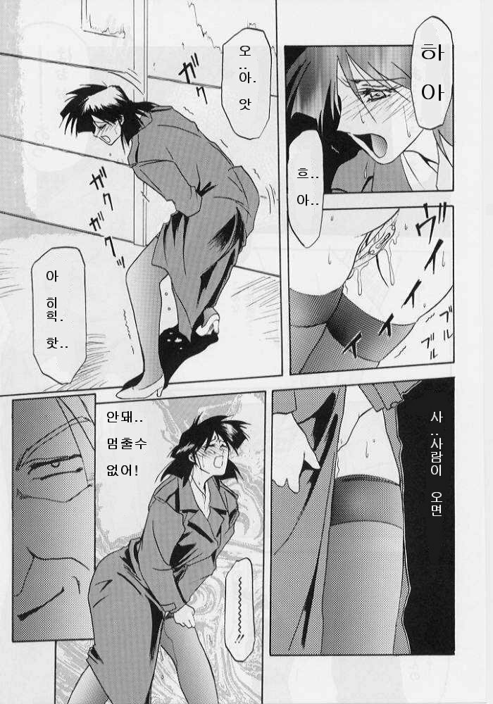 [Sanbun Kyoden] Hiiro no Koku Gekan | 비색의 긱 하컨 [Korean] [EnjoyH] page 30 full