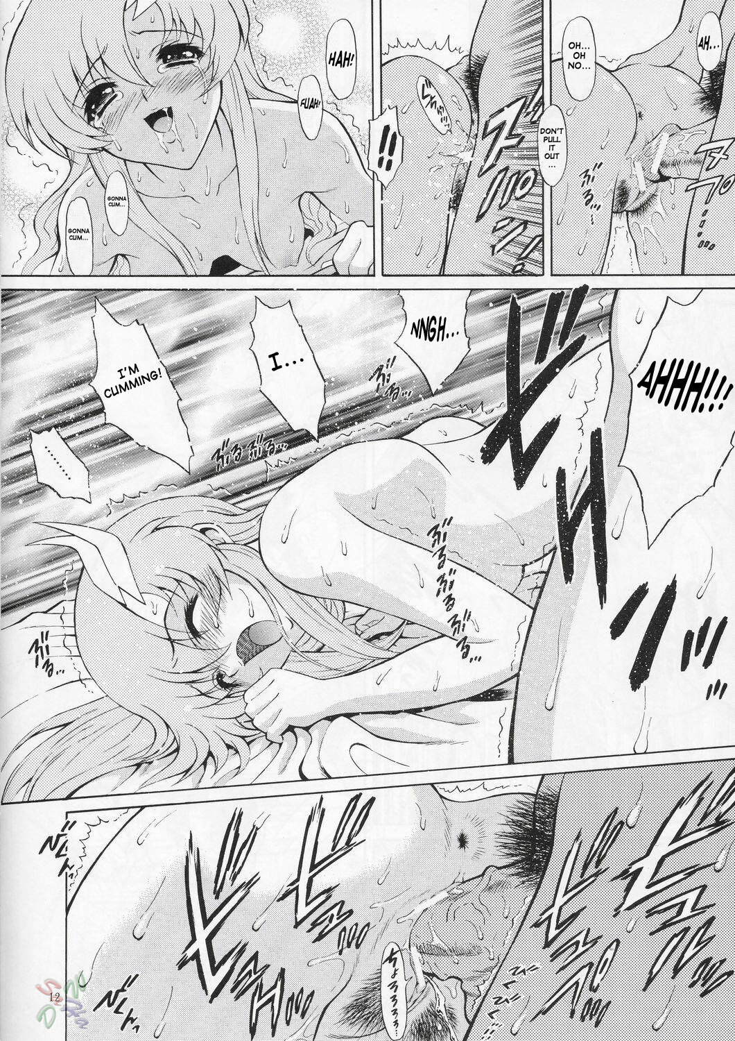 (C66) [GUST (Harukaze Soyogu)] Sternness 3 (Mobile Suit Gundam SEED) [English] [SaHa] page 11 full