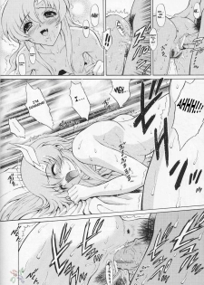 (C66) [GUST (Harukaze Soyogu)] Sternness 3 (Mobile Suit Gundam SEED) [English] [SaHa] - page 11