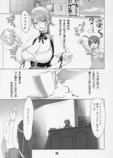 (SC36) [Digital Accel Works (INAZUMA)] INAZUMA BLADE 2 (WITCHBLADE) - page 34