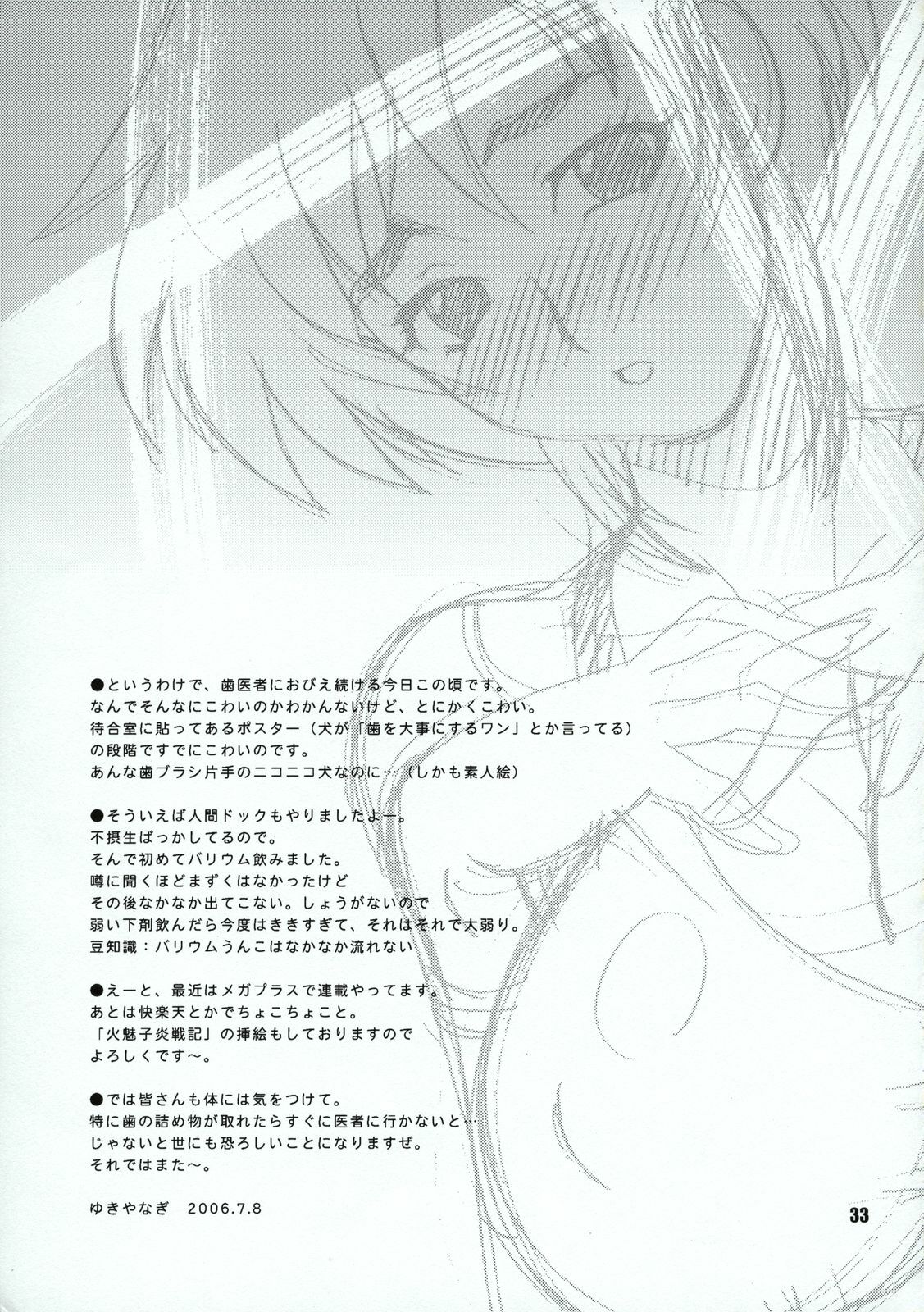 (C70) [SHALLOT COCO (Yukiyanagi)] Yukiyanagi no Hon 12 Kimi no Ecstasy (Witchblade) page 32 full