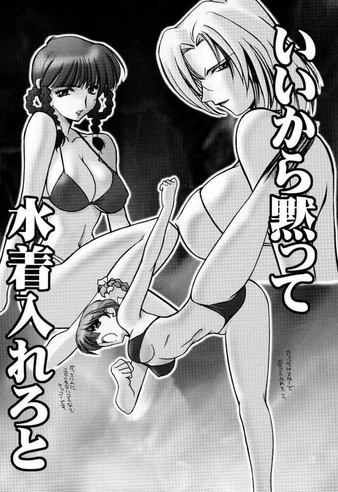 (C61) [U-A Daisakusen, Lapislazuli=corporation (Harada Shoutarou)] Ruridou Gahou CODE:16 (Dead or Alive) page 11 full