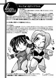 (C61) [U-A Daisakusen, Lapislazuli=corporation (Harada Shoutarou)] Ruridou Gahou CODE:16 (Dead or Alive) - page 6