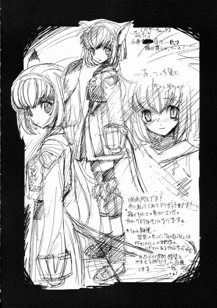 (C69) [ZINZIN (Hagure Metal)] At Goblin The Fake Server Vol. 2 (Final Fantasy XI) page 2 full