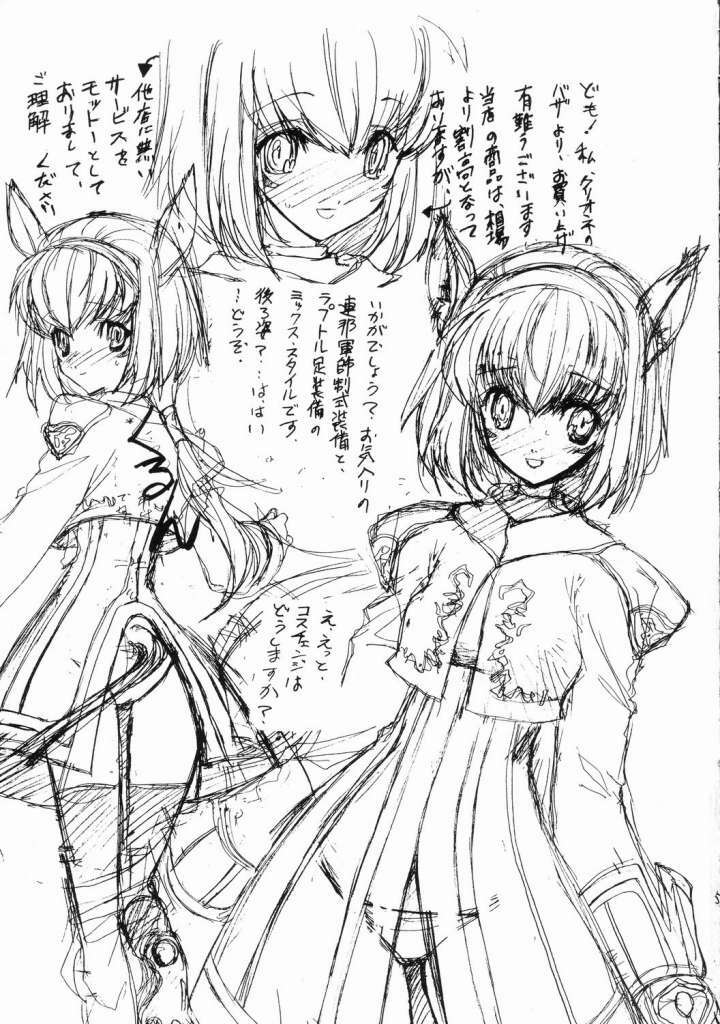 (C69) [ZINZIN (Hagure Metal)] At Goblin The Fake Server Vol. 2 (Final Fantasy XI) page 3 full