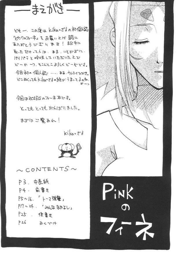 (C59) [Studio Wallaby (Kika = Zaru)] Pink no Fiona (ZOIDS) page 3 full