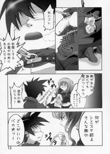 (Futaket vs. ABC Hentaisai) [Sepia Mosaic (Kazumiya Akira)] Shoujo Ryouiki (Zero no Tsukaima) - page 12