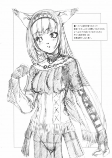 (C67) [Crank.In (Mizutani Tooru)] Materialize IV (Final Fantasy XI) - page 13