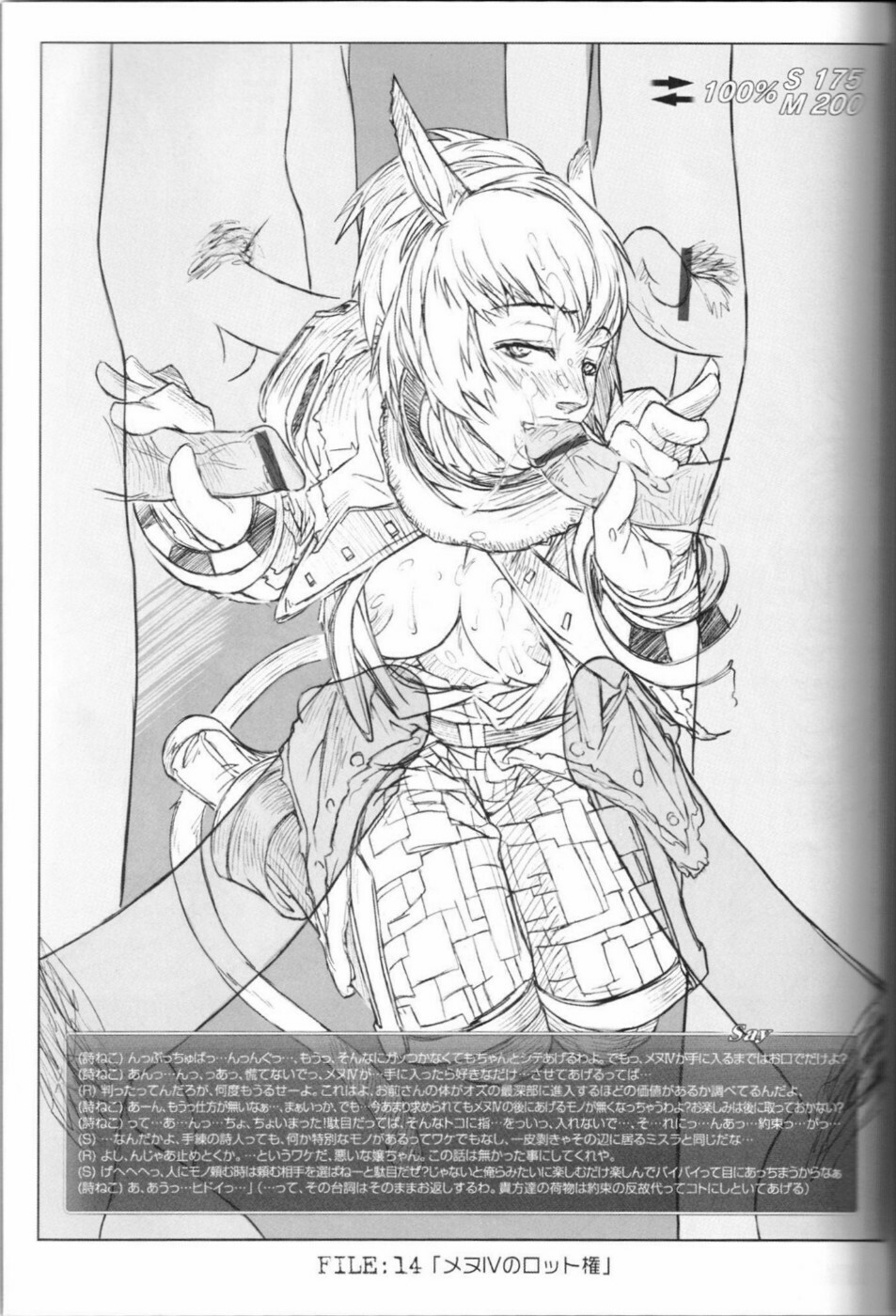 (C67) [NP Virus Jouryuusho (N-P-KATOU)] Mithman Report FILE:00-FILE:15 (Final Fantasy XI) page 18 full