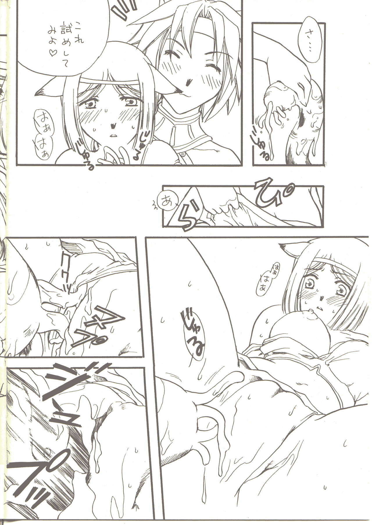 (C65) [Daiyokujou (Meijin Taoru)] Mithra no Hon (Final Fantasy XI) page 6 full