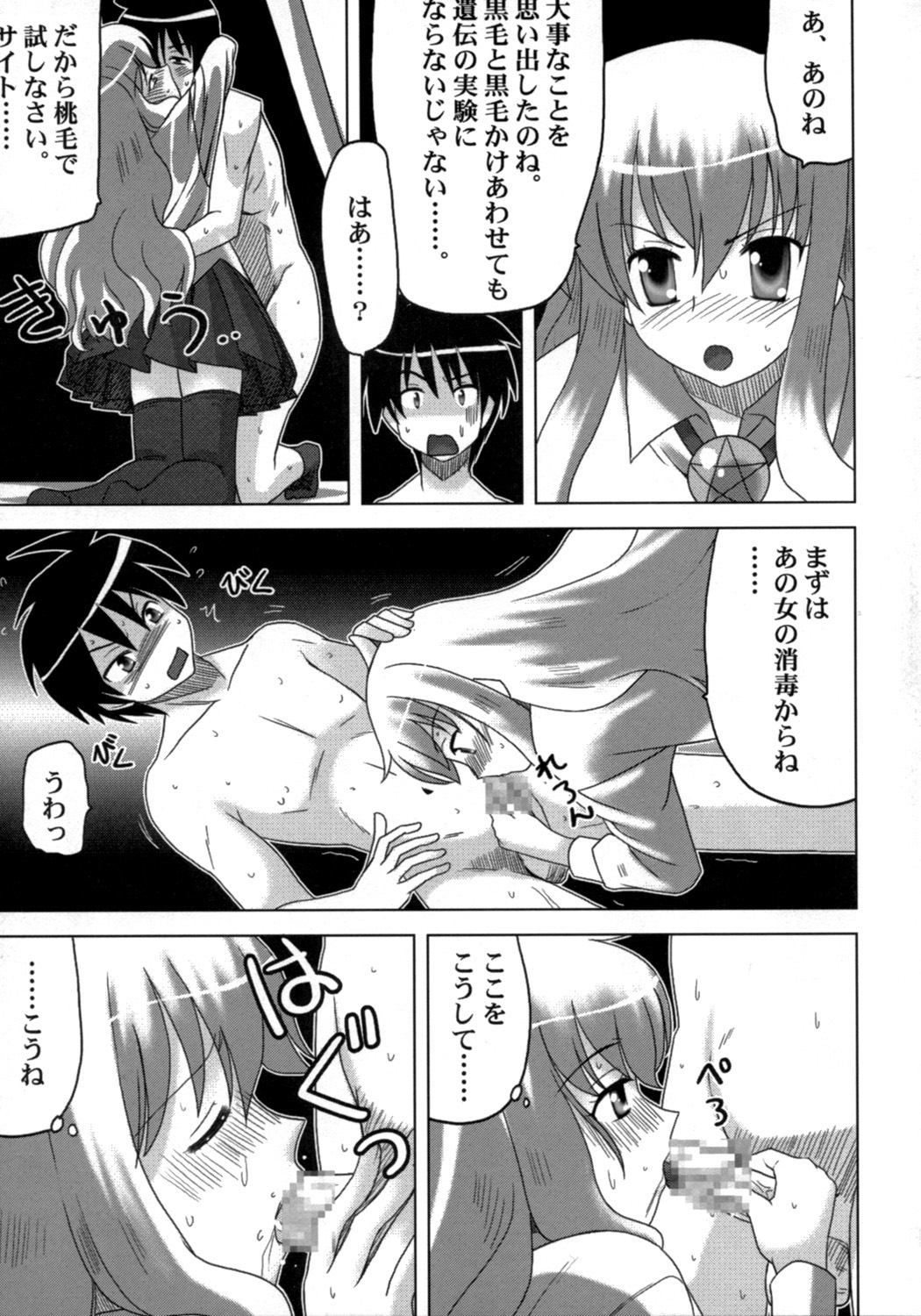 [Princess Project.] Zero no Taneuma 2 (Zero no Tsukaima) page 8 full