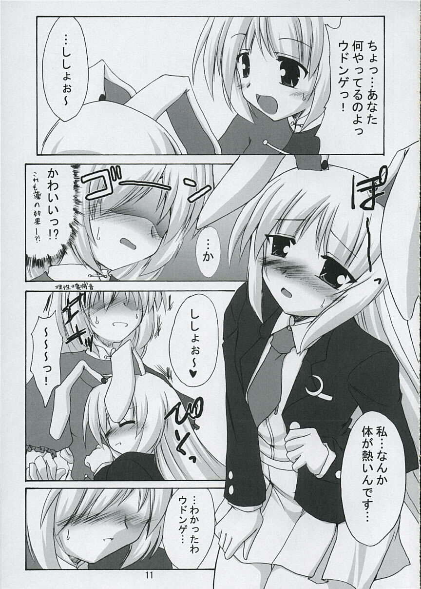 (SC29) [Yuugen Jikkou (Gonzaburo-)] Tsukikage Renbo (Touhou Project) page 10 full