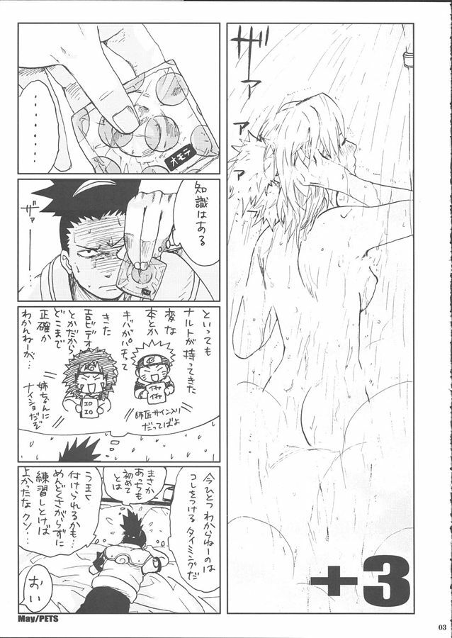 (SC28) [PETS (rin, kuro, may)] +3 (Naruto) page 5 full