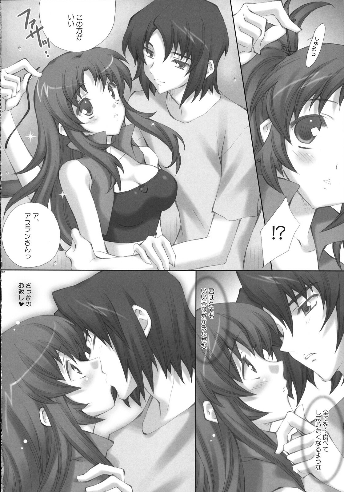 (C72) [LiZ (Satomi Hinako)] ADAM'S APPLE (Gundam SEED DESTINY) page 11 full