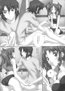 (C72) [LiZ (Satomi Hinako)] ADAM'S APPLE (Gundam SEED DESTINY) - page 10