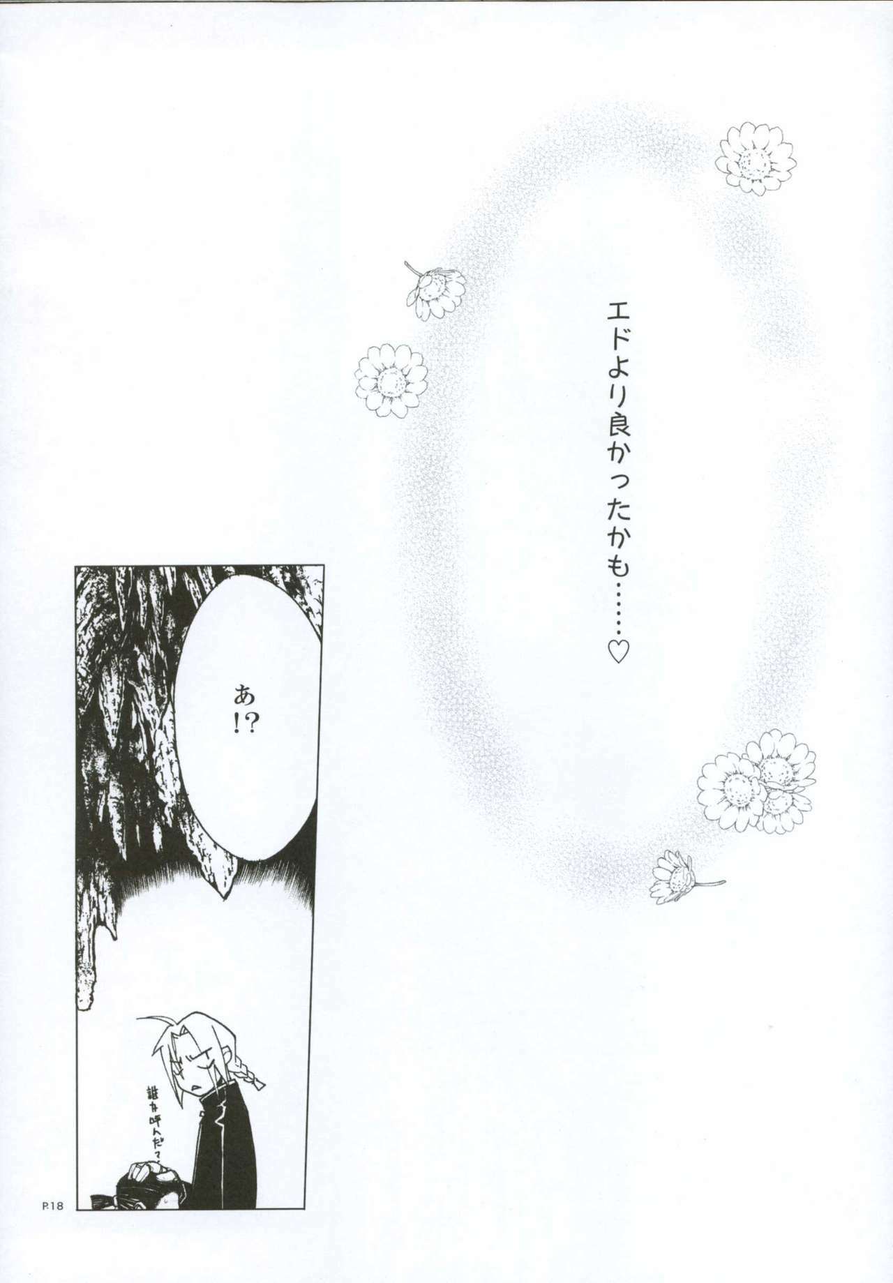 (C66) [Piggstar (Nagoya Shachihachi)] Hagane Gohatto (Fullmetal Alchemist) page 19 full