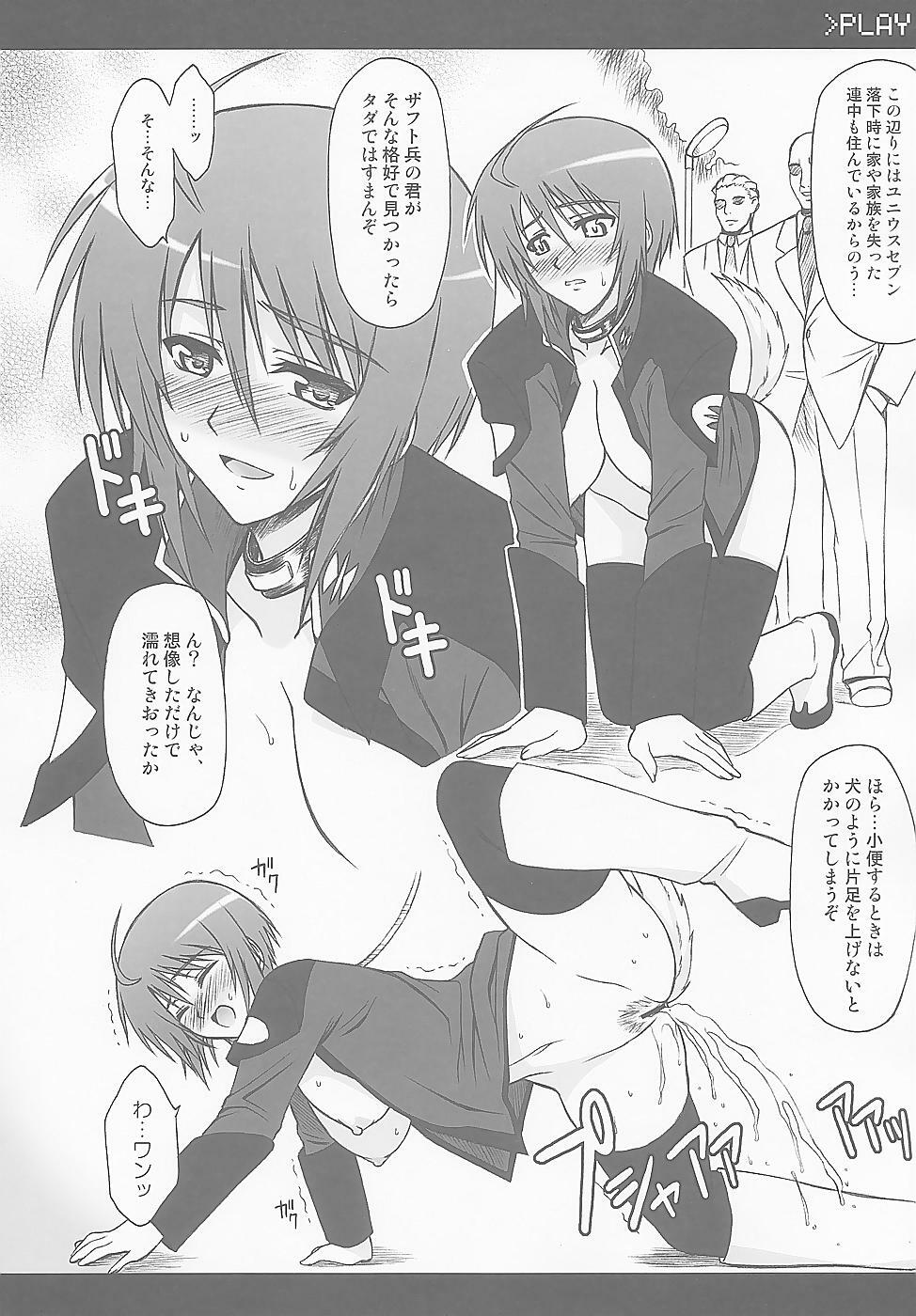 (C67) [Type-G (Ishigaki Takashi)] LUNA:C (Gundam SEED Destiny) page 14 full