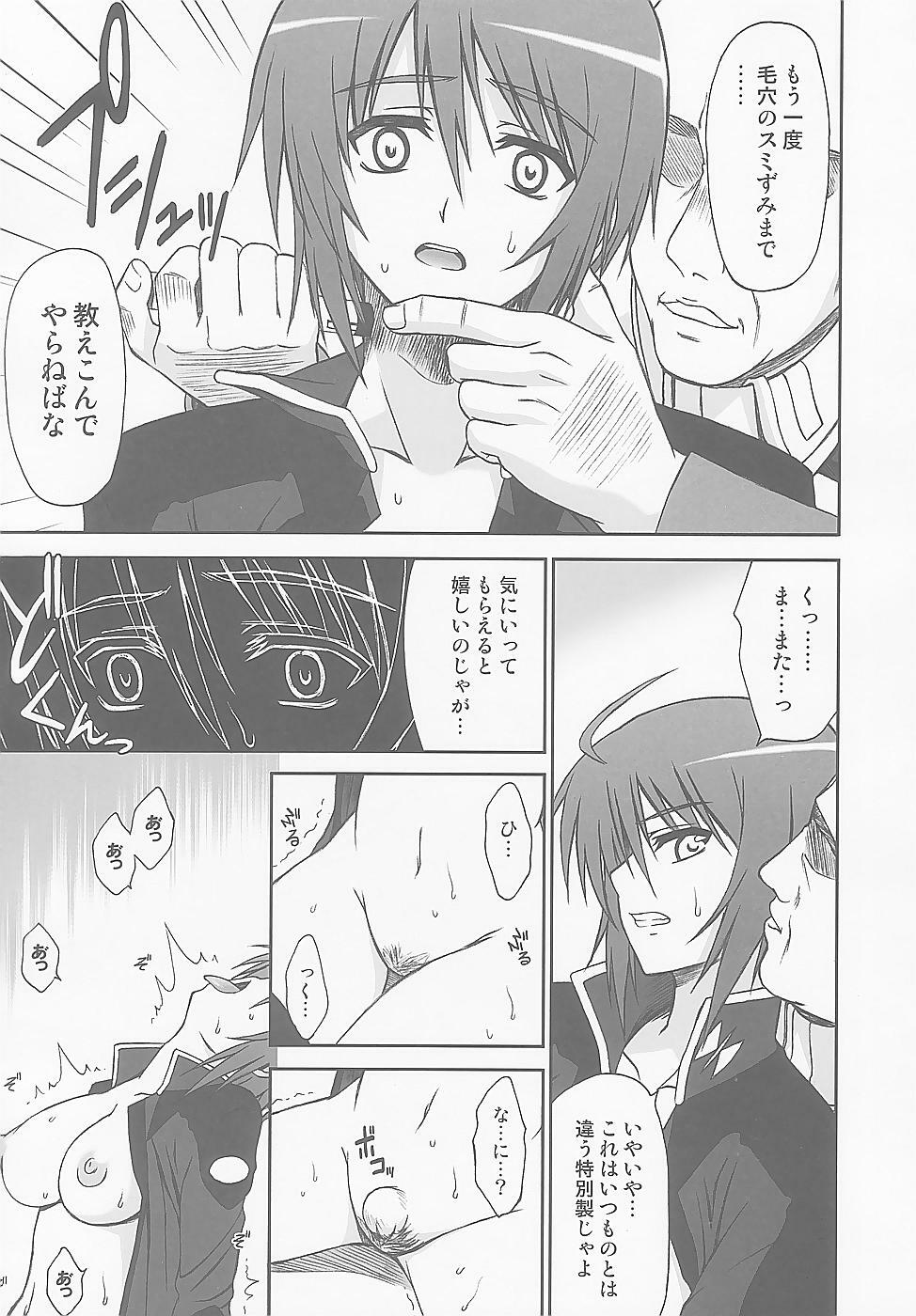 (C67) [Type-G (Ishigaki Takashi)] LUNA:C (Gundam SEED Destiny) page 17 full