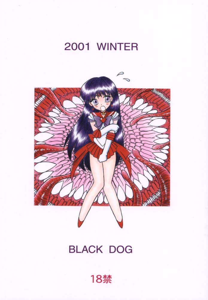 (C61) [BLACK DOG (Kuroinu Juu)] Red Hot Chili Pepper (Bishoujo Senshi Sailor Moon) page 30 full