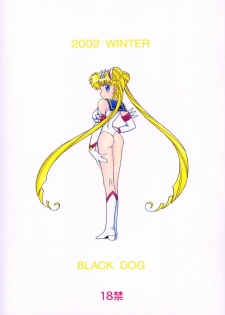 (C63) [BLACK DOG (Kuroinu Juu)] ANOTHER ONE BITE THE DUST (Bishoujo Senshi Sailor Moon) - page 2