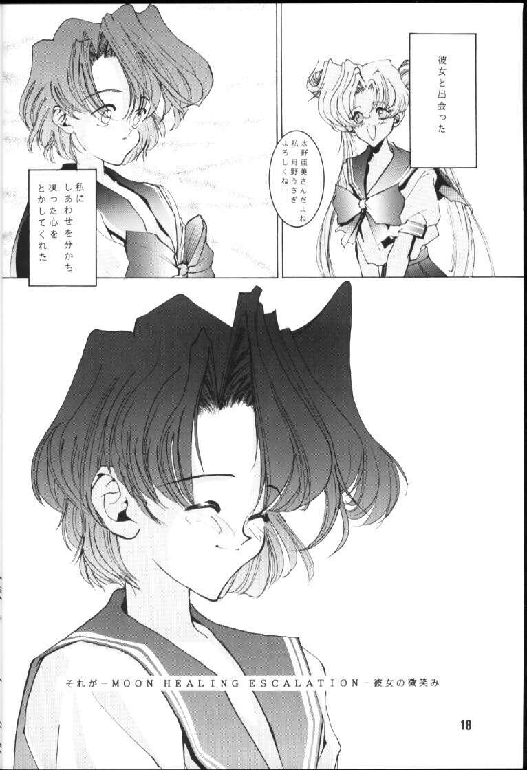 (C45) [Gyokusaidan (Mimasaka Hideaki)] CRY (Sailor Moon) page 17 full