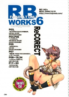 (C71) [HQ's (Kajiyama Hiroshi)] RB WORKS 6 ReCORECT - page 33