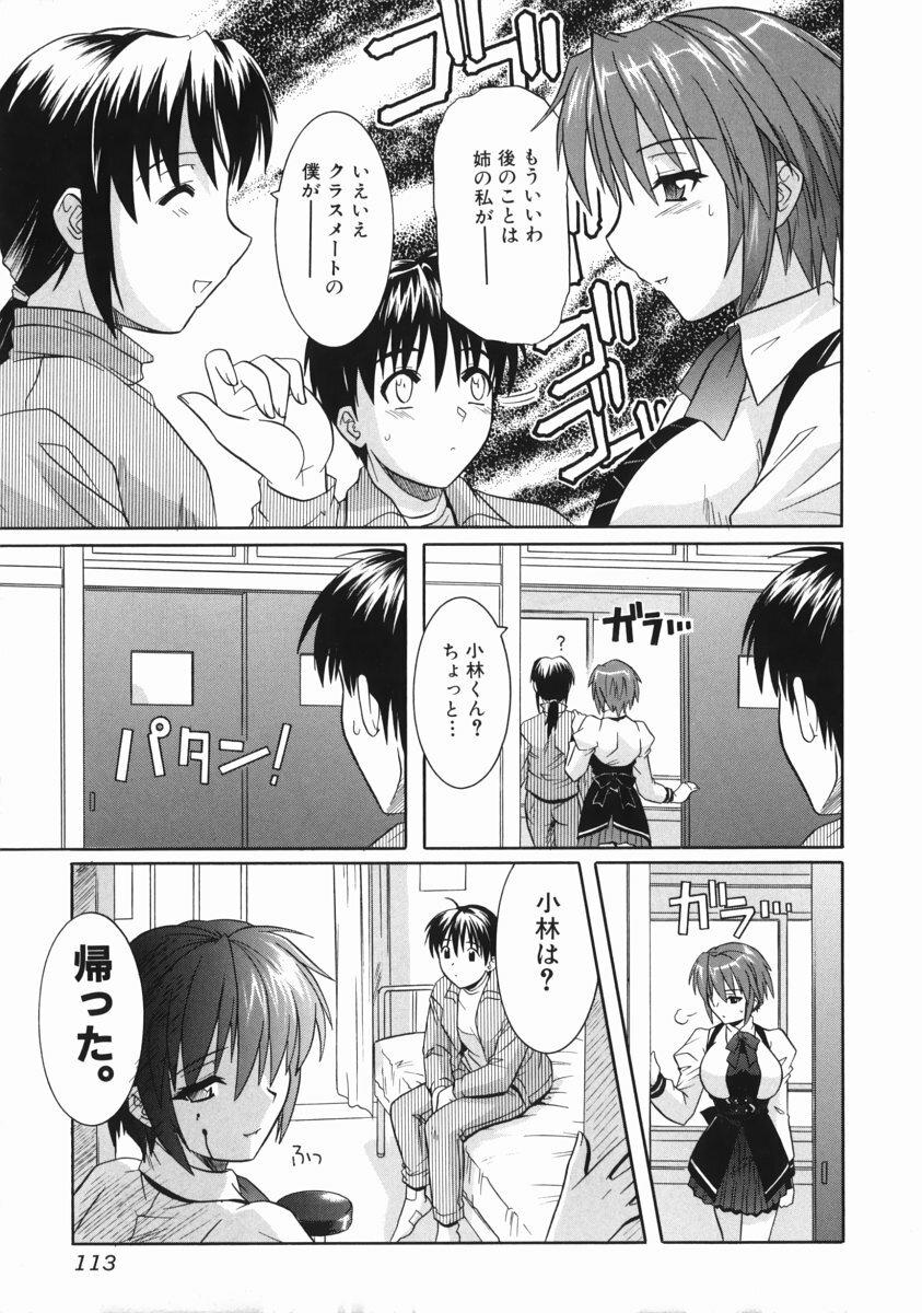 [Tsutsumi Akari] Ane no Ana - An elder sister's lewd cavity page 115 full