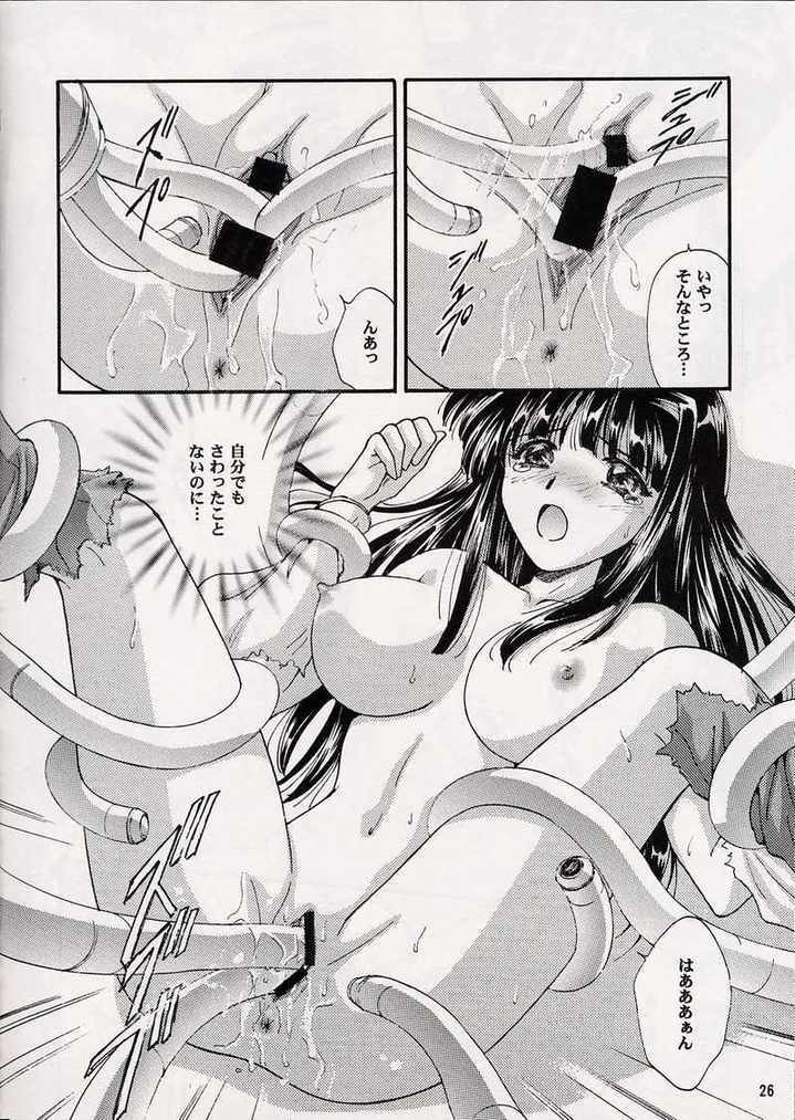 (CR33) [ABSORB (Fujiku Yuima)] Hanahime Ranbu (Love Hina) page 25 full