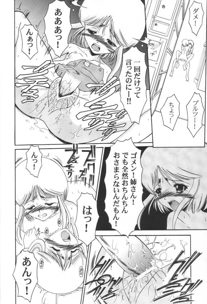 (CR31) [Andorogynous (Kiyose Kaoru)] Andorogynous Vol. 4 (Kidou Senshi Gundam ZZ) page 15 full