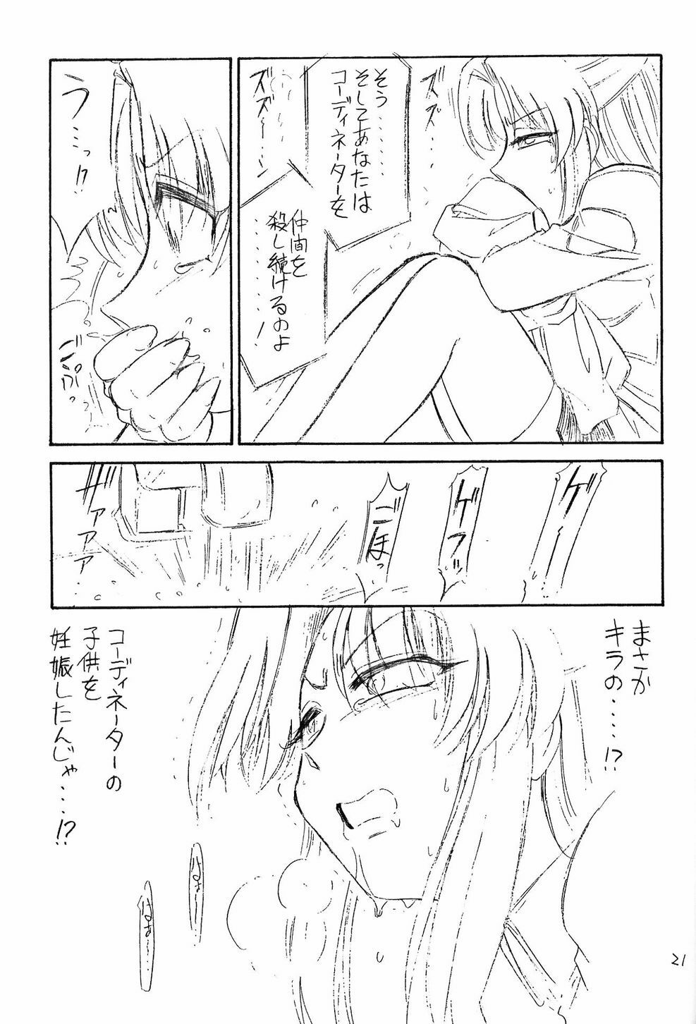 (CR33) [EINSATZ GRUPPE (Charlie Nishinaka)] Hontou no Kimochi (Gundam SEED) page 20 full