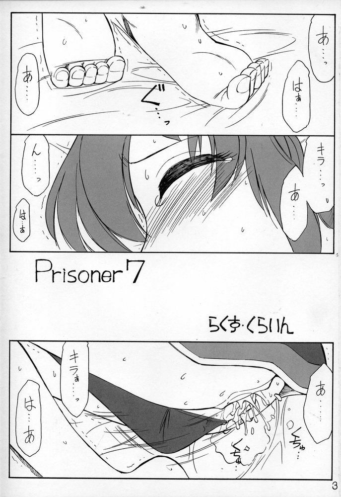 (C69) [EINSATZ GRUPPE (Charlie Nishinaka)] PRISONER 7 The Original Bird (Mobile Suit Gundam SEED Destiny) page 2 full