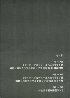 (C70) [Yakiniku Tekoku (Hayate Megumi)] Cyber Academy Ero☆Risu (Tetris) - page 3