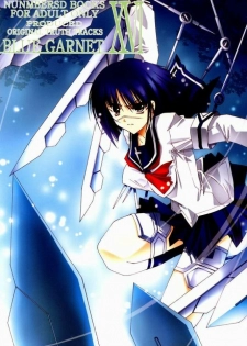 (C65) [BLUE GARNET (Serizawa Katsumi)] BLUE GARNET XVI EXTENDEAD (Busou Renkin)