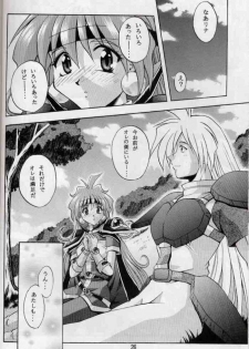 (C58) [Double Branch (Mimikaki)] Otome no Inori (Slayers) - page 25