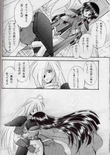 (C58) [Double Branch (Mimikaki)] Otome no Inori (Slayers) - page 29