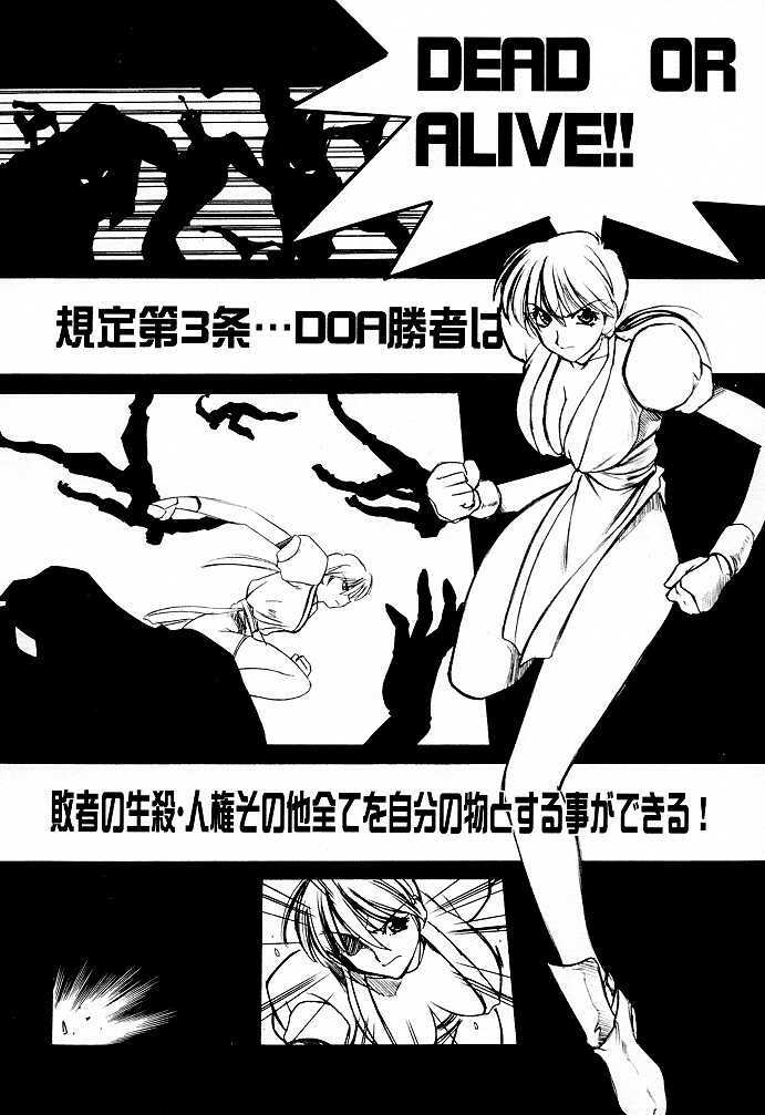 (C56) [UA Daisakusen (Harada Shoutarou)] Ruridou Gahou 9 (Dead Or Alive) page 4 full