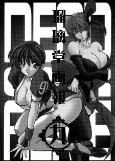 (C56) [UA Daisakusen (Harada Shoutarou)] Ruridou Gahou 9 (Dead Or Alive) - page 3