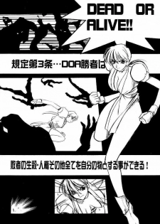 (C56) [UA Daisakusen (Harada Shoutarou)] Ruridou Gahou 9 (Dead Or Alive) - page 4