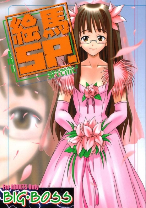 [BIG BOSS (Hontai Bai)] Ema SP (Love Hina)