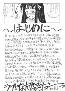 [BIG BOSS (Hontai Bai)] Ema SP (Love Hina) - page 3