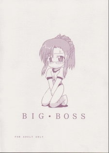 (CR32) [BIG BOSS (Hontai Bai)] Mizuho (Onegai Teacher) - page 18