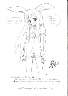 (Reitaisai 3) [ERA FEEL (Kuraoka Aki)] Sukesukecchi 10 (Touhou Project) - page 10