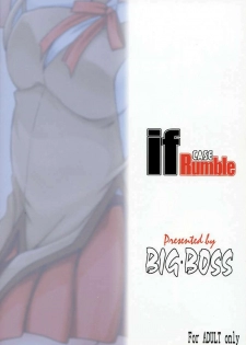 [BIG BOSS (Hontai Bai)] if CASE Rumble (School Rumble) - page 26